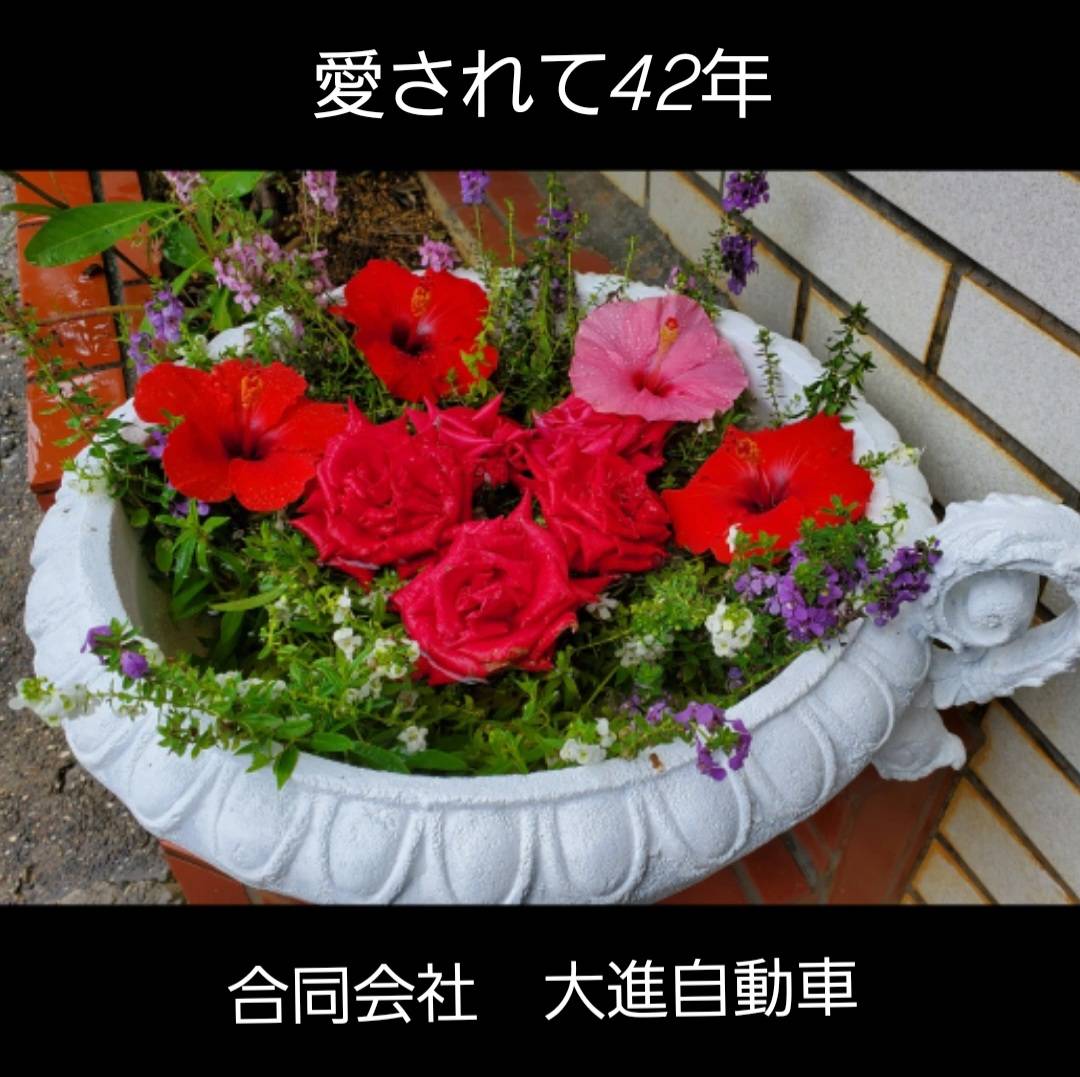 あいされて42年　合同会社 大進自動車